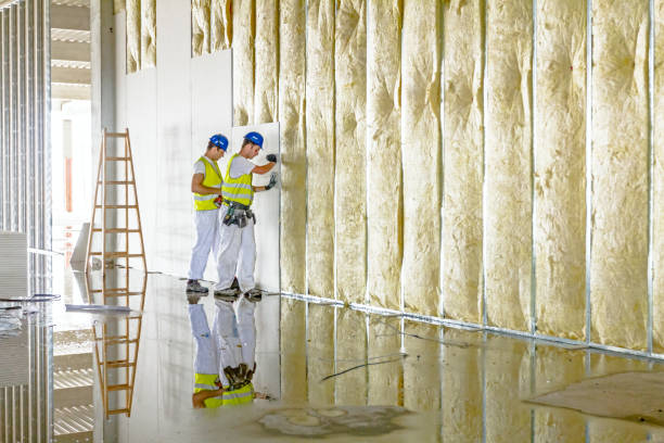 Best Commercial Insulation in Hurley, NM